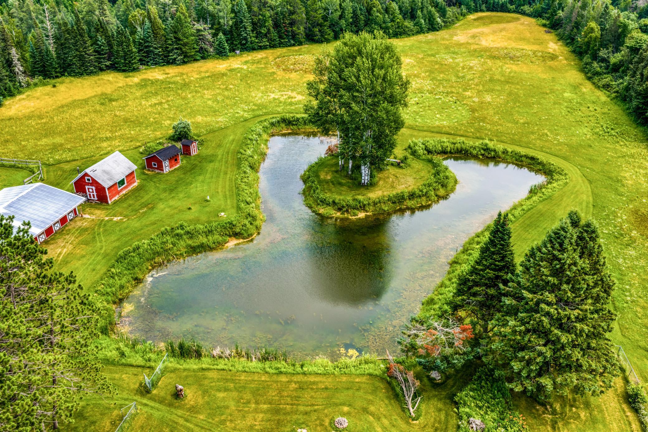 pond