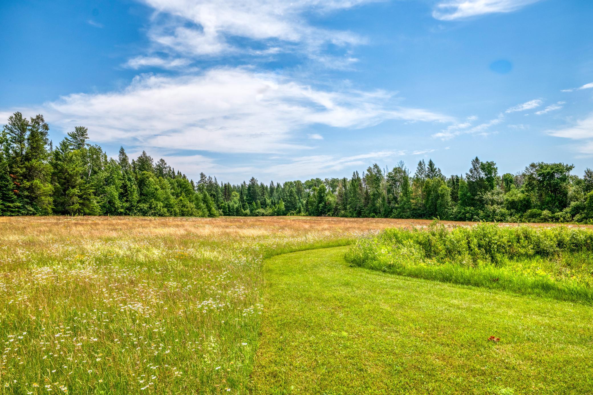 Field beyond pond
