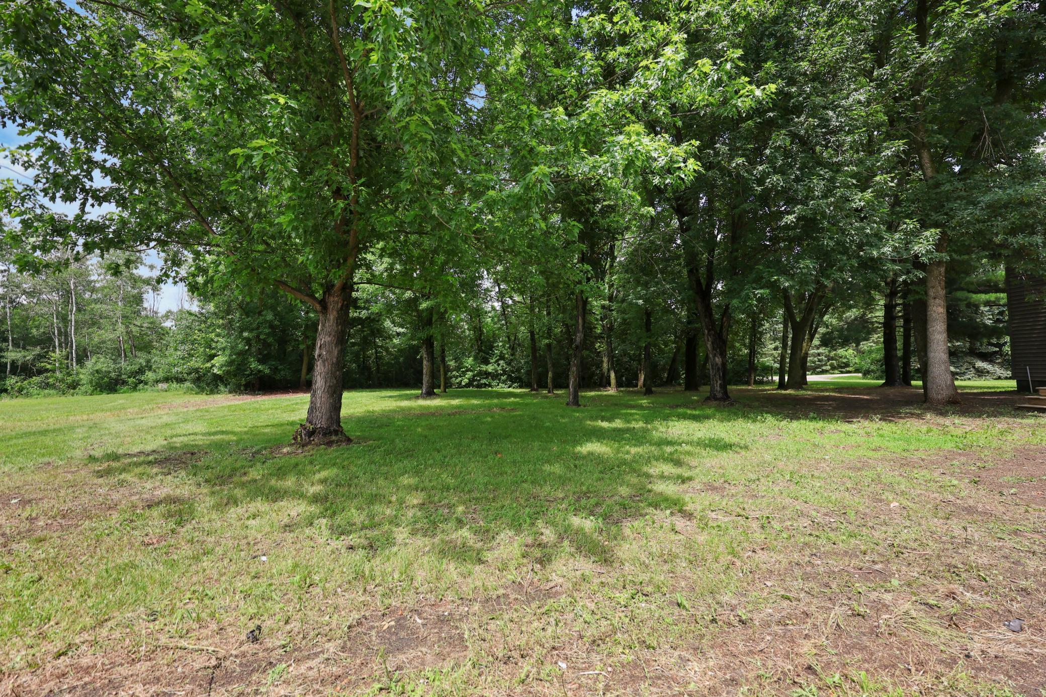 8E5A7525.JPG