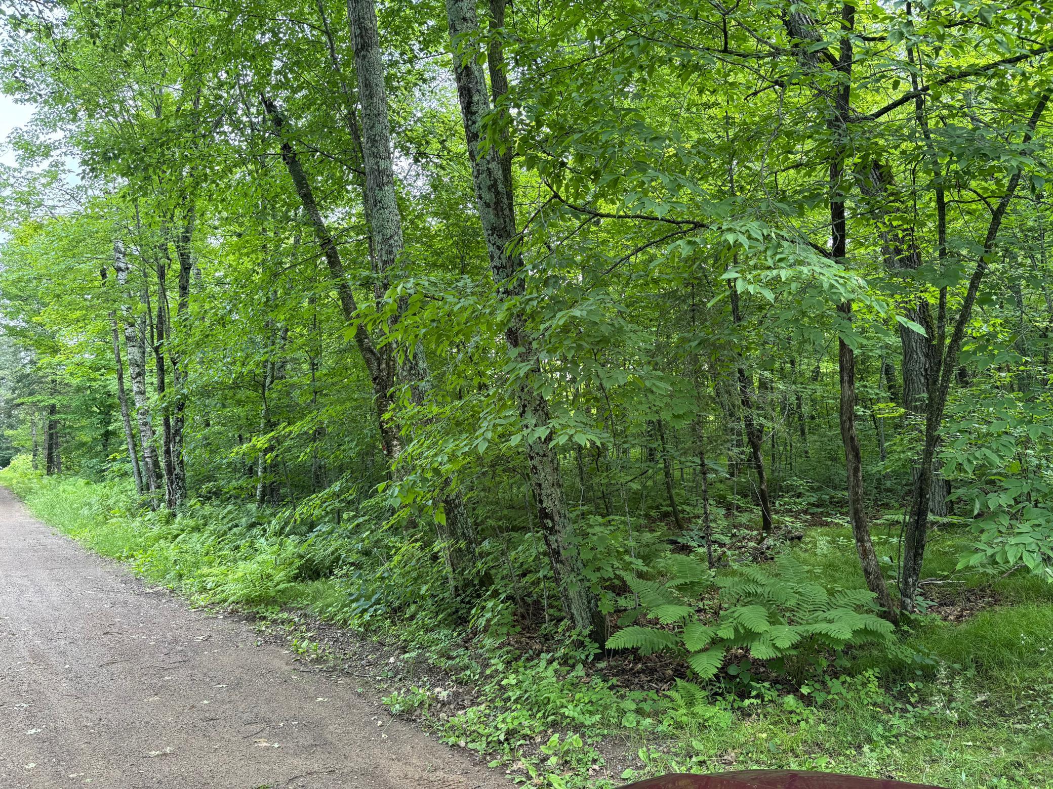 South of 254th Lane