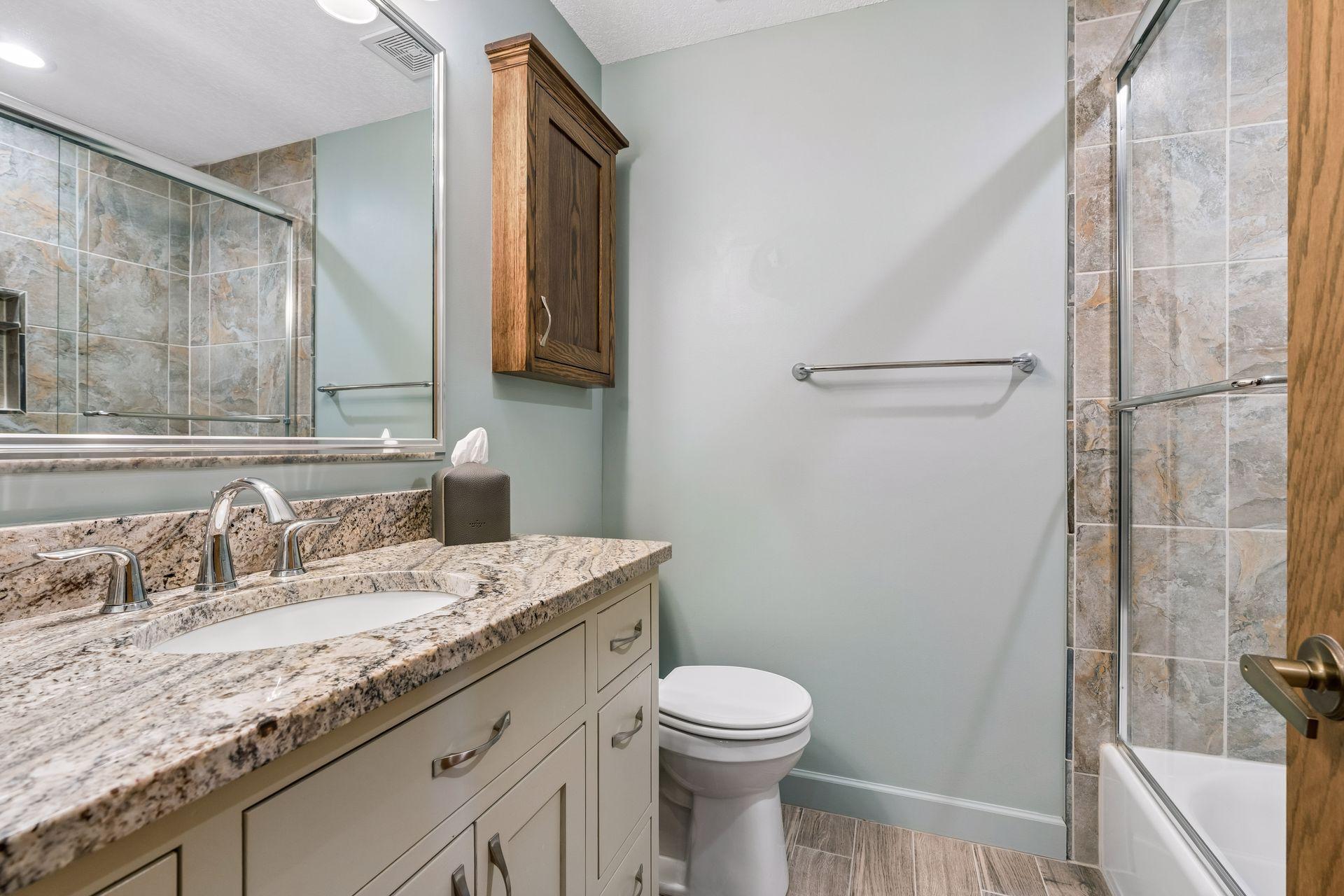 Lower level bathroom