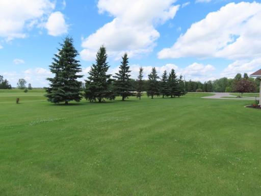 12615 FRONT TREE AREA.jpg