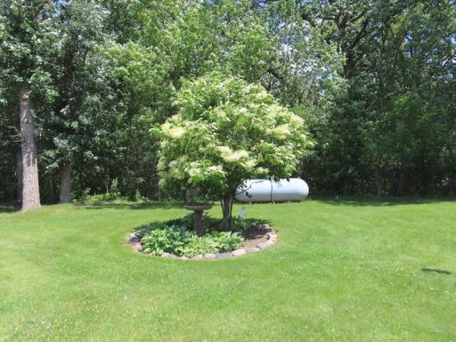 12615 LANDSCAPING 3.jpg