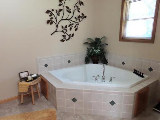12615 PRIMARY BATH TUB.jpg