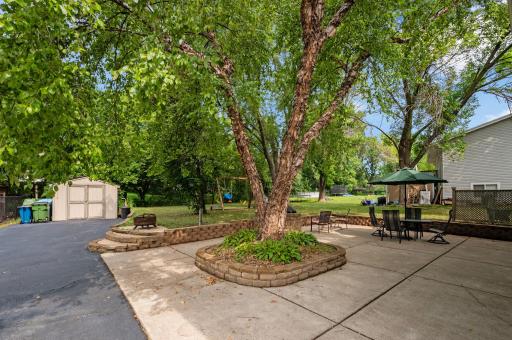 Expansive paved patio surrounded by mature shade trees, complete with a center garden island and outdoor seating space