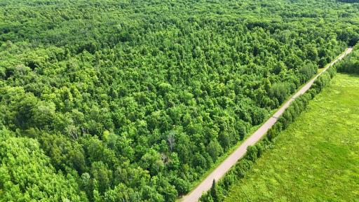 XXX W Eckel Lane, Couderay, WI 54835