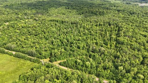 XXX W Eckel Lane, Couderay, WI 54835