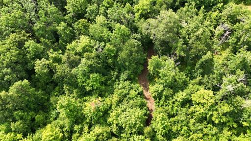 XXX W Eckel Lane, Couderay, WI 54835