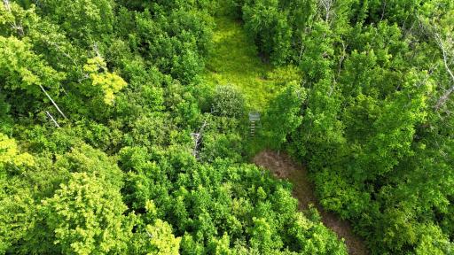 XXX W Eckel Lane, Couderay, WI 54835