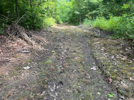 XXX W Eckel Lane, Couderay, WI 54835