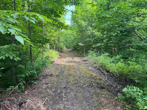 XXX W Eckel Lane, Couderay, WI 54835