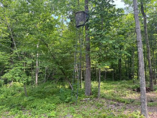 XXX W Eckel Lane, Couderay, WI 54835