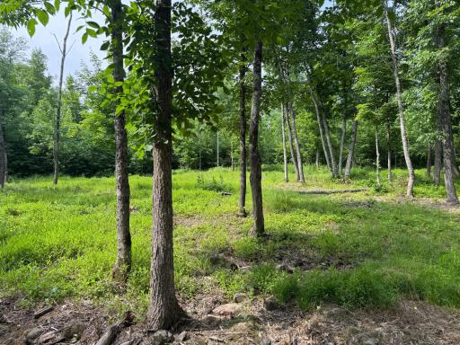 XXX W Eckel Lane, Couderay, WI 54835