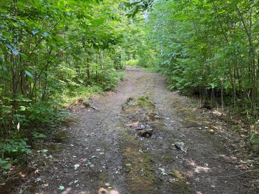 XXX W Eckel Lane, Couderay, WI 54835