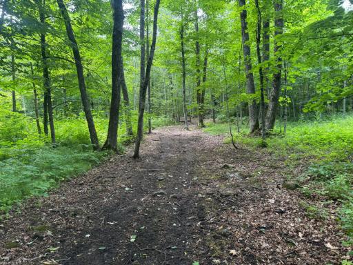 XXX W Eckel Lane, Couderay, WI 54835