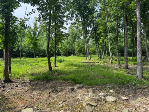 XXX W Eckel Lane, Couderay, WI 54835