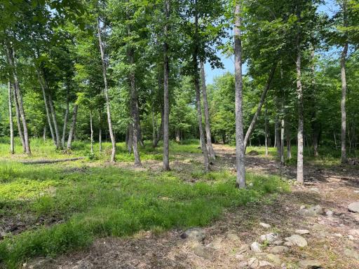 XXX W Eckel Lane, Couderay, WI 54835