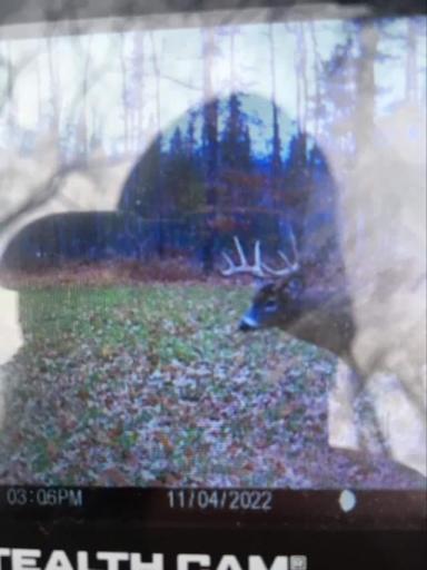XXX W Eckel Lane, Couderay, WI 54835