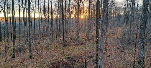 XXX W Eckel Lane, Couderay, WI 54835