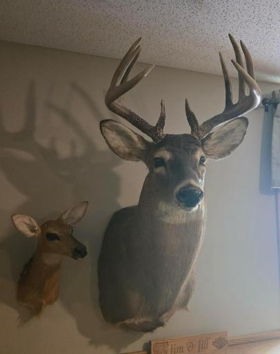 XXX W Eckel Lane, Couderay, WI 54835
