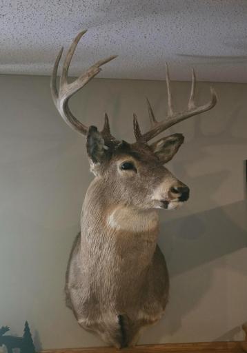 XXX W Eckel Lane, Couderay, WI 54835