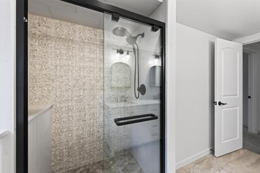 Lower Level Primary Shower