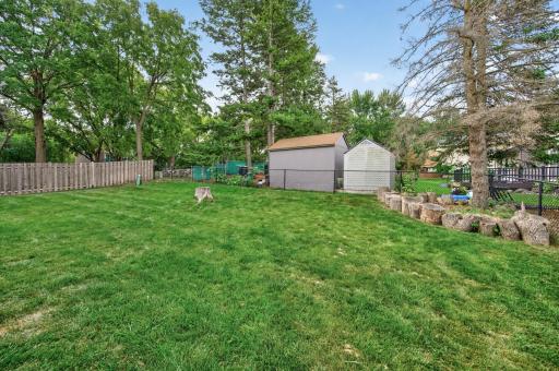 Fenced In Yard