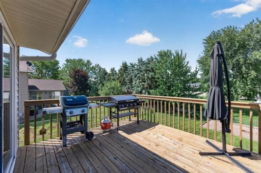 3511 W Mineral Pond Boulevard, Anoka, MN 55303