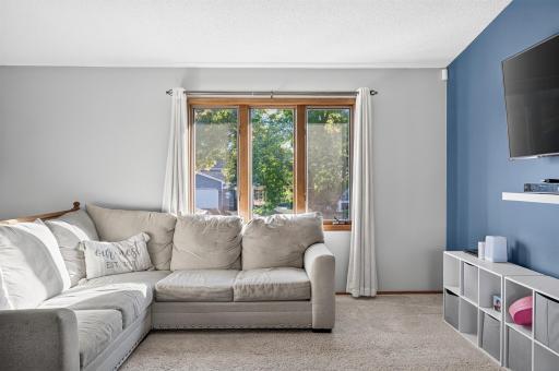 3511 W Mineral Pond Boulevard, Anoka, MN 55303