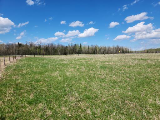 20260524_150906.jpg