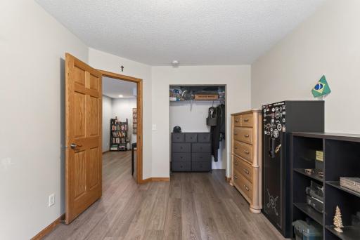 Lower level bedroom #2