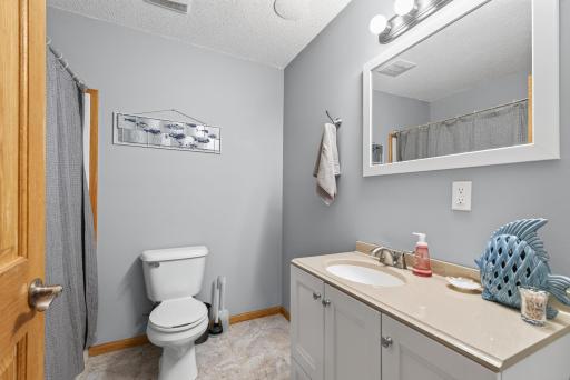 Lower level full bath