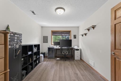 Lower level bedroom #2