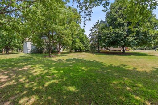 Spacious back yard with shade