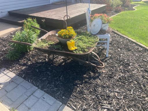 374 Cherry Street W, Mazeppa, MN 55956