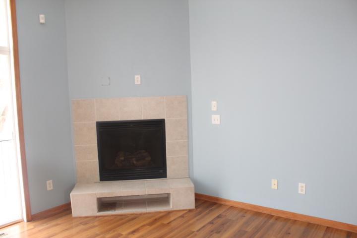 FIREPLACE.JPG