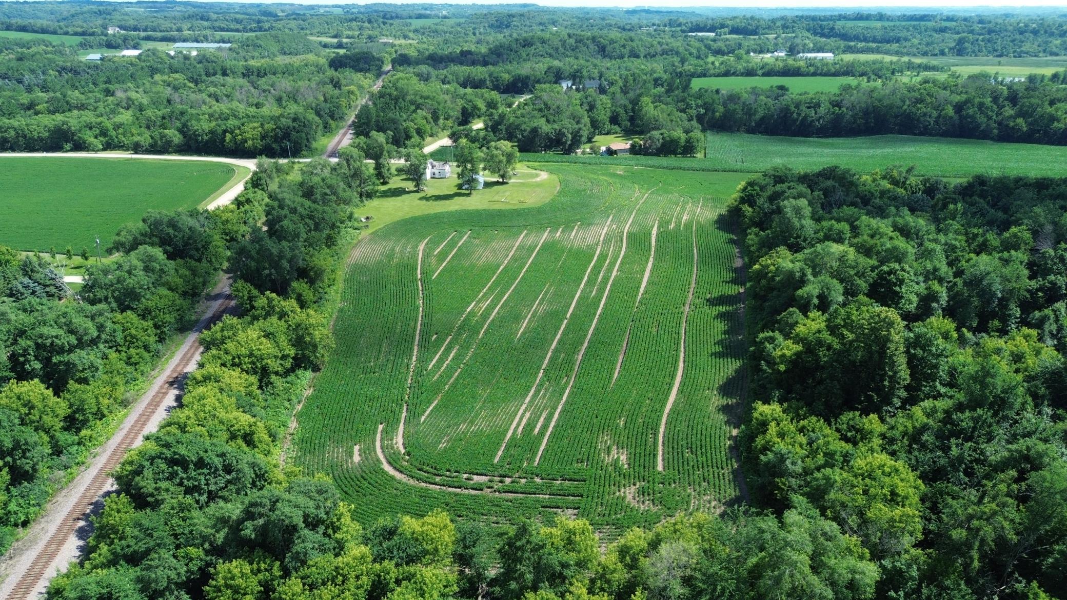 DJI_0675.JPG