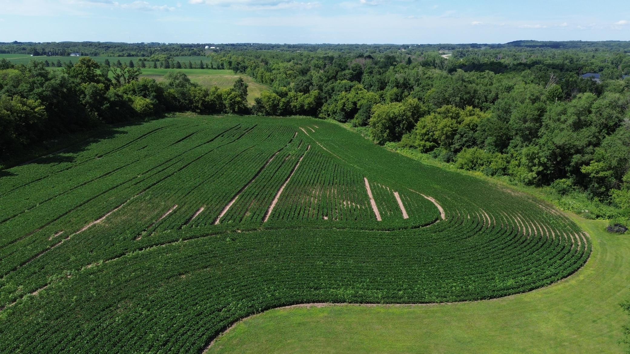 DJI_0681.JPG