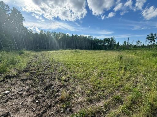 TBD N Moose Lake Road, Pennington, MN 56663
