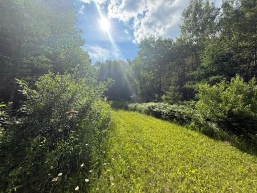 TBD N Moose Lake Road, Pennington, MN 56663