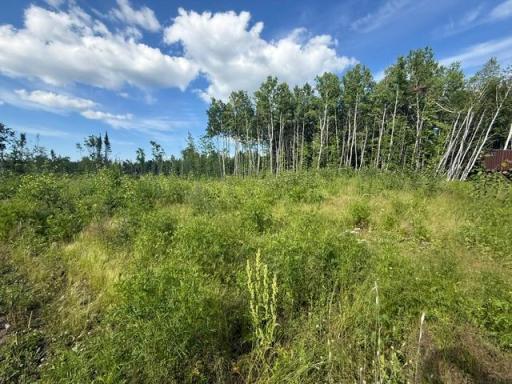 TBD N Moose Lake Road, Pennington, MN 56663