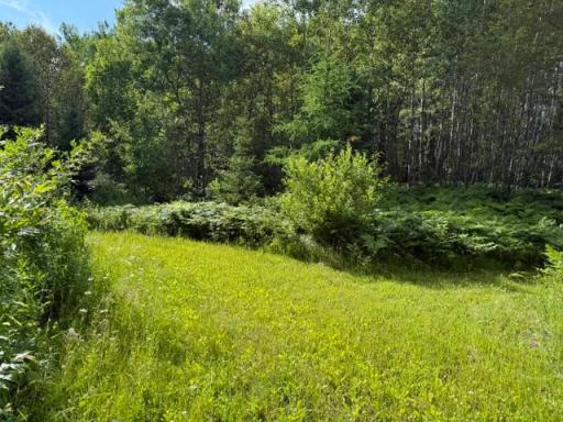 TBD N Moose Lake Road, Pennington, MN 56663