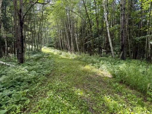 TBD N Moose Lake Road, Pennington, MN 56663