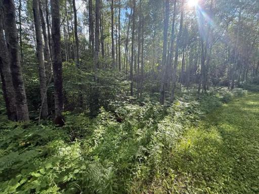 TBD N Moose Lake Road, Pennington, MN 56663
