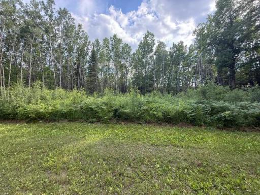 TBD N Moose Lake Road, Pennington, MN 56663