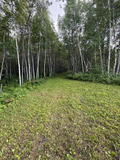 TBD N Moose Lake Road, Pennington, MN 56663