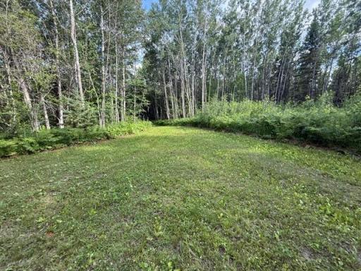 TBD N Moose Lake Road, Pennington, MN 56663