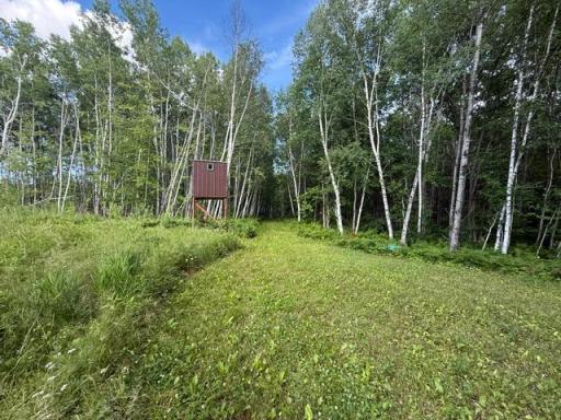 TBD N Moose Lake Road, Pennington, MN 56663