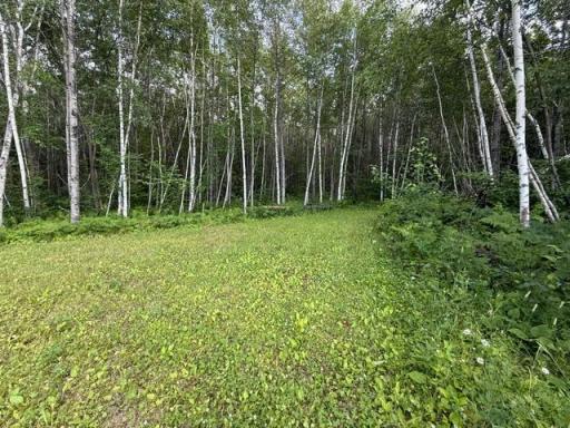TBD N Moose Lake Road, Pennington, MN 56663