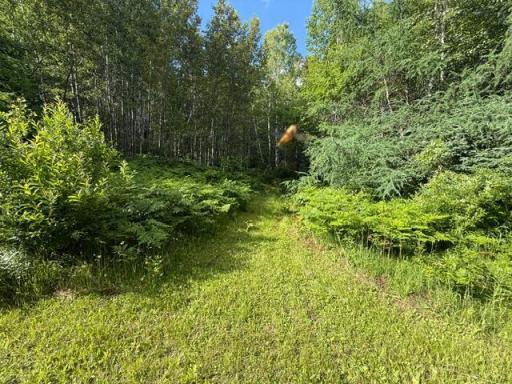 TBD N Moose Lake Road, Pennington, MN 56663
